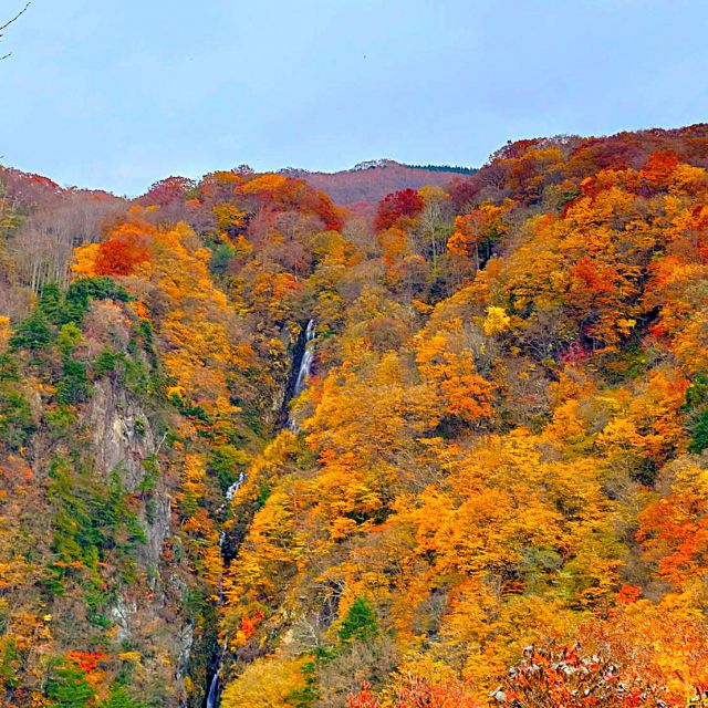 .
気づけば1カ月ぶりの更新になってしまいました、中の人です⛄️
最近は朝晩の空気がすっかり冬モードになってきましたね❄️

実はわたし、夏より冬が大好きなんです。理由はもちろん…雪！そしてスキー！⛷️
雪が降り始めると、いよいよシーズン到来というワクワクが止まりません✨

今年の冬も思いっきり滑って、たくさん楽しんでいきたいと思います！
みなさんも冬の準備、進んでいますか？❄️✨

----------------------------------------------------------------------------

今週は紅葉の写真です⛰️
先週の写真なので、もう見頃は過ぎてしまったかもしれませんが、
短い秋を感じることができました🍂🍁
----------------------------------------------------------------------------
新卒・転職　スタッフ募集中！✨
会社説明会・インターンシップ随時開催中！🌟
詳しくはプロフィールのURLをクリック👉

#百年先を創造する

#信州 #長野県 #上田市 #長野県上田市

#土木 #建設業 #建設業を盛り上げよう #測量 #土木スタグラム 
#インフラツーリズム #道路 #砂防 #ダム

#風景写真好きな人と繋がりたい
#キリトリセカイ
#橋のある風景
#ダム好きな人と繋がりたい
#川のある風景
#誰かに見せたい景色
#日本の風景
#田舎の風景
#カメラ好きな人と繋がりたい
#撮るを楽しむ
#誰かの記憶の片隅に
#写真好きな人と繋がりたい