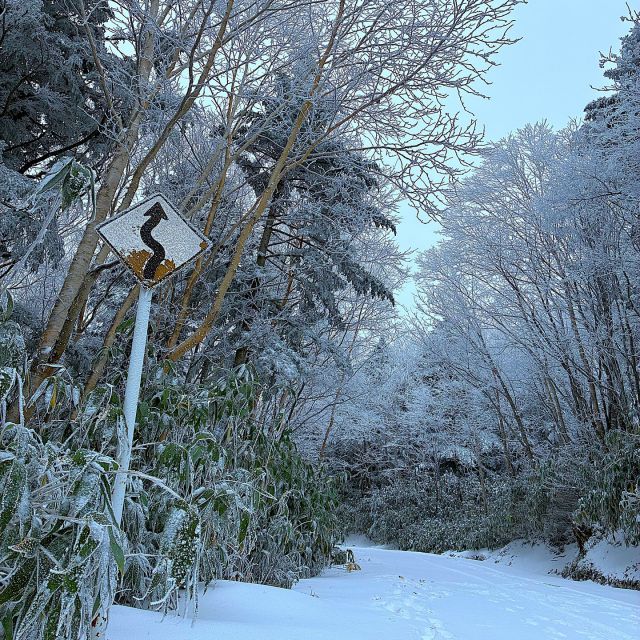 .
中の人③です🦕

先日、我が家の近くの小学校付近にクマが出没したとのことで、
今週は、うちの子供たちも学校への送迎が必要になっています🐻🌀

以前に会社の駐車場付近でもクマが目撃されたことから、
外を歩くときには一応周囲を警戒しながら歩く今日この頃です😱
早く冬眠してもらって、安全に歩けるようになるといいですね😥💦

----------------------------------------------------------------------------

今週の写真は、先日行った現場です⛰️
山の頂上のため雪が積もっており、一面真っ白でまるで異世界に来たようでした❄️⛄️

----------------------------------------------------------------------------
新卒・転職　スタッフ募集中！✨
会社説明会・インターンシップ随時開催中！🌟
詳しくはプロフィールのURLをクリック👉

#百年先を創造する

#信州 #長野県 #上田市 #長野県上田市

#土木 #建設業 #建設業を盛り上げよう #測量 #土木スタグラム 
#インフラツーリズム #道路 #砂防 #ダム

#風景写真好きな人と繋がりたい
#キリトリセカイ
#誰かに見せたい景色
#日本の風景
#田舎の風景
#カメラ好きな人と繋がりたい
#撮るを楽しむ
#誰かの記憶の片隅に
#写真好きな人と繋がりたい
#雪景色