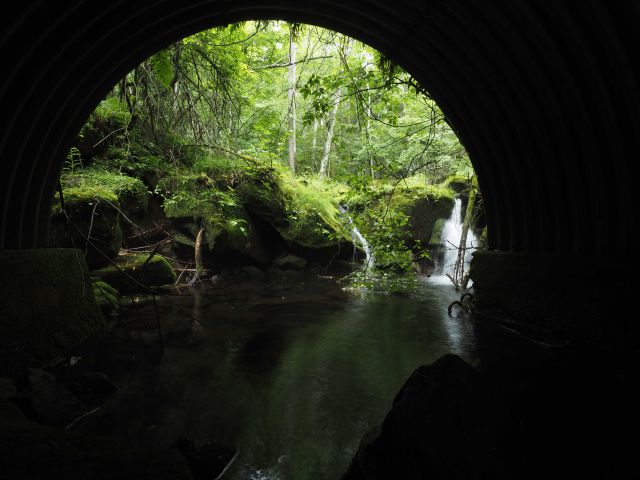 .
お久しぶりです！気づけば約3か月ぶりの更新になってしまいました💦
年度末に向けて仕事がバタバタしていて、なかなか更新できずにいましたが…また少しずつ再開していこうと思います😊

今回は小海町での橋梁点検のときのお話です。
点検作業の合間にふと周りを見渡すと、思わず写真を撮りたくなるようなエモい景色に出会いました📸✨
夏の景色ではあるのですが、せっかくなので皆さんにもおすそ分けです🌿

忙しい中でも、こういう瞬間に出会えるのが外仕事の良いところですね。
それでは皆様、本日もご安全に～👷‍♂️

----------------------------------------------------------------------------
新卒・転職　スタッフ募集中！✨
会社説明会・インターンシップ随時開催中！🌟
詳しくはプロフィールのURLをクリック👉

#百年先を創造する

#信州 #長野県 #上田市 #長野県上田市

#土木 #建設業 #建設業を盛り上げよう #測量 #土木スタグラム
#インフラツーリズム #道路 #砂防 #ダム

#風景写真好きな人と繋がりたい
#キリトリセカイ
#誰かに見せたい景色
#日本の風景
#田舎の風景
#カメラ好きな人と繋がりたい
#撮るを楽しむ
#誰かの記憶の片隅に
#写真好きな人と繋がりたい